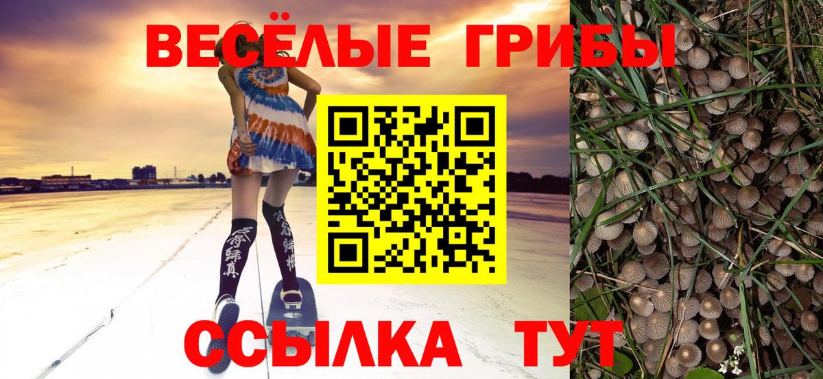 Гагарин  Псилоцибиновые грибы мухоморы  Галлюциногенные грибы мицелий  Вход с VPN 